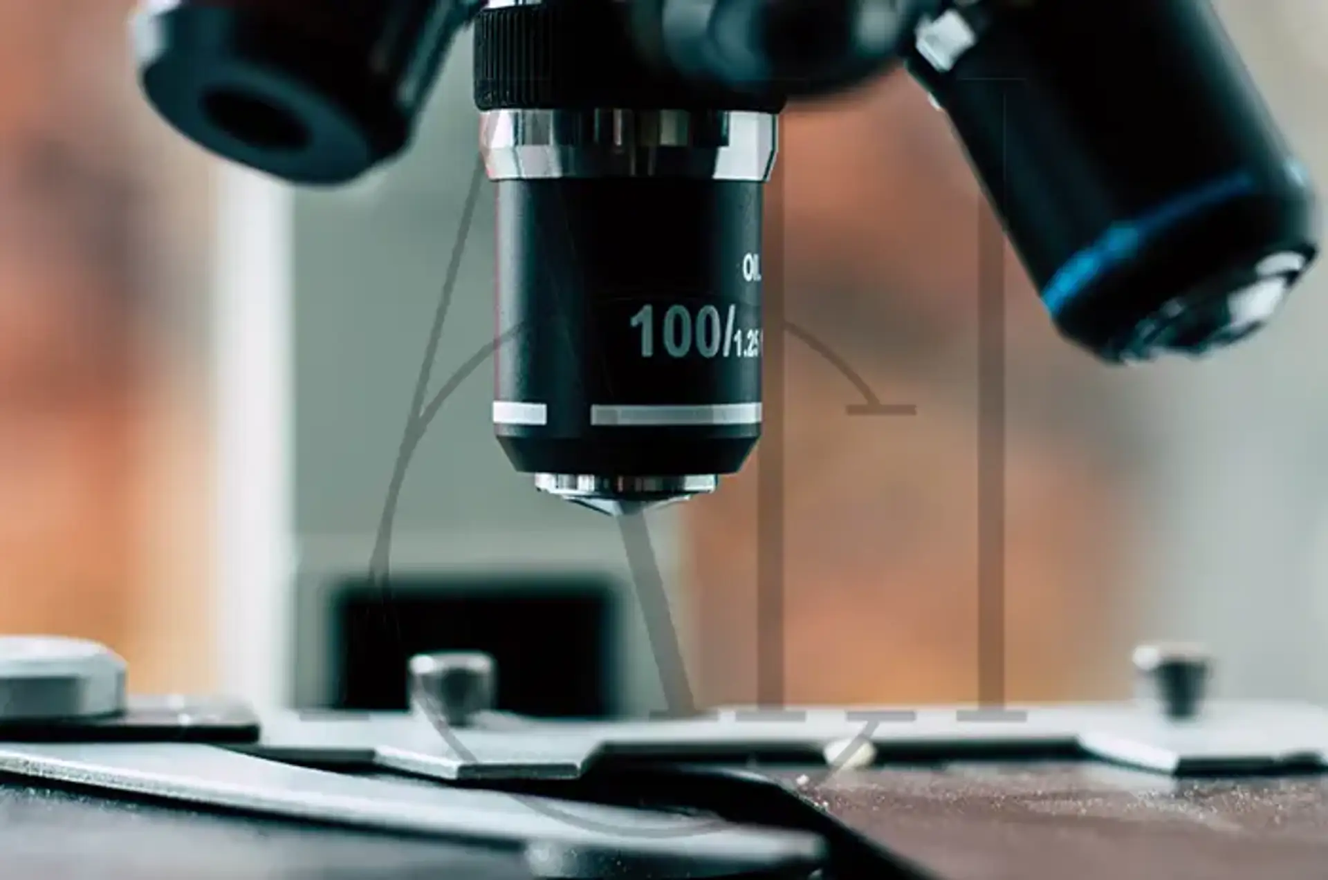 Hair Follicle Drug Test: Accuracy