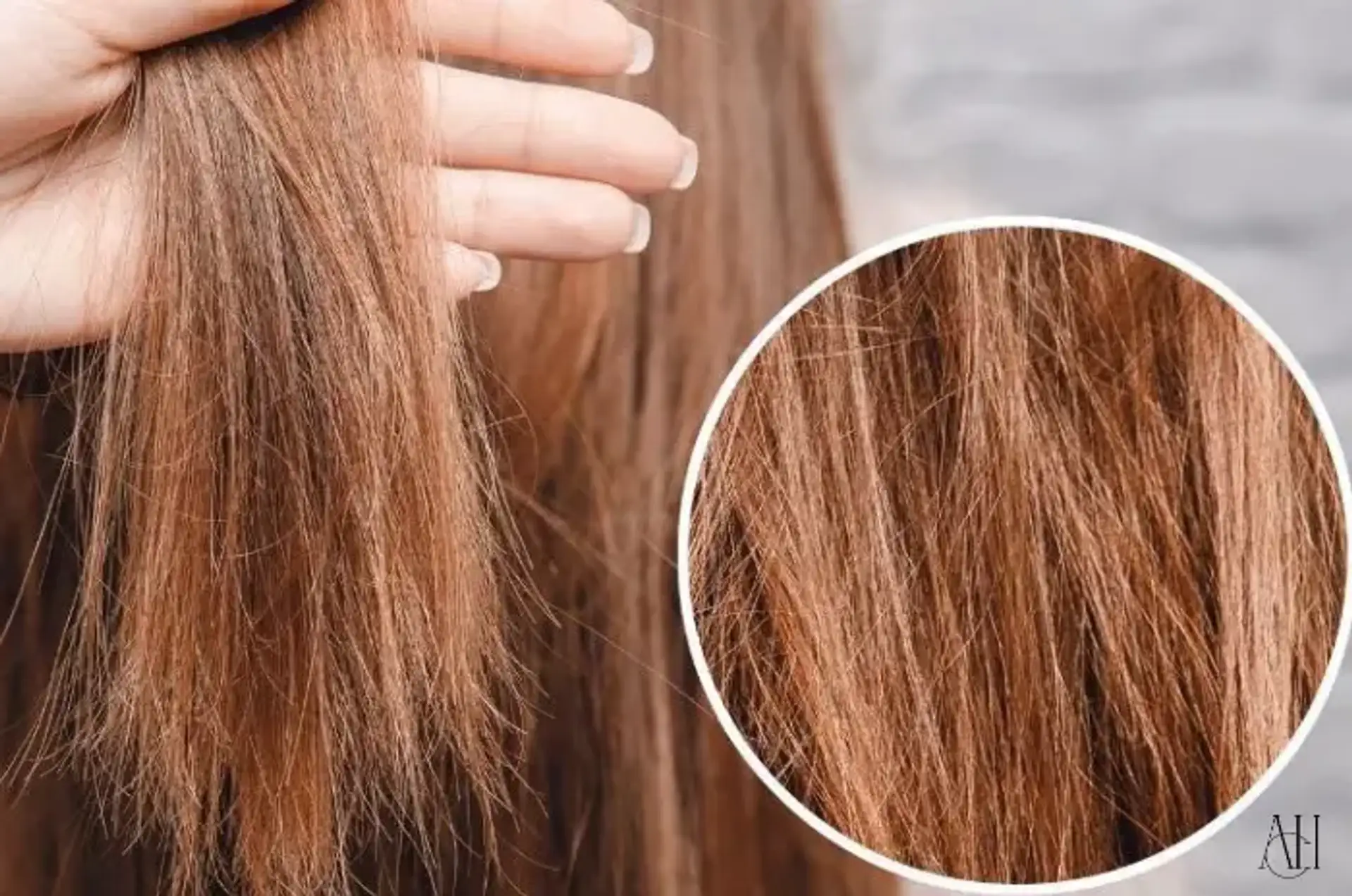 Hair Breakage Causes Treatments and Prevention Tips