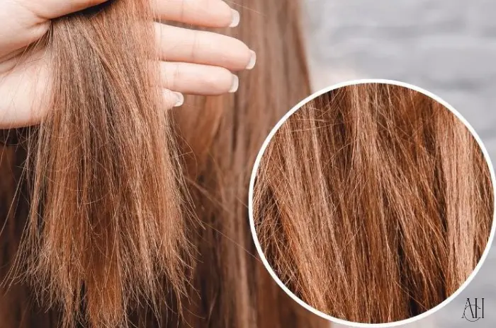 repair broken hair
